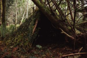 bushcraft shelter